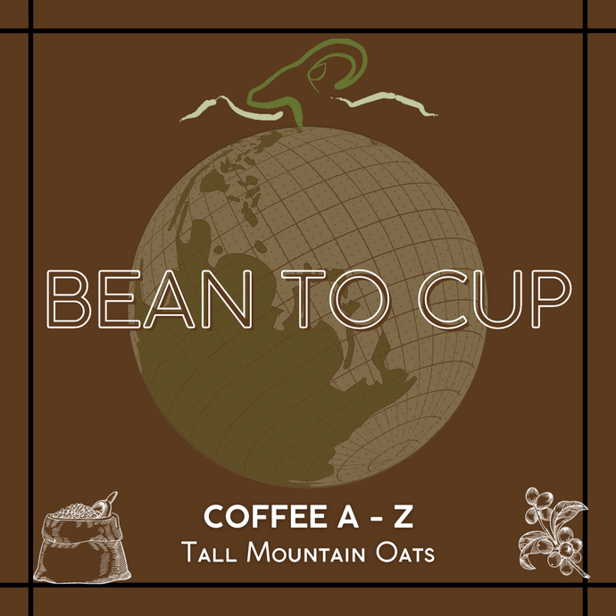 Bean to Cup: Coffee A-Z